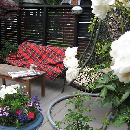 Finlay Banks Boutique Bed & Breakfast Κράισττσερτς Εξωτερικό φωτογραφία